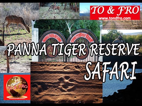 PANNA Tiger reserve forest- Panna madhyapradesh-panna tiger reserve safari-panna tiger-mp tourism