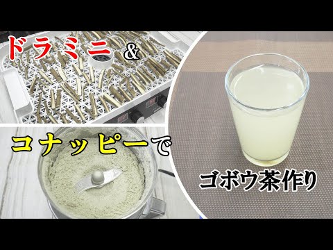 ゴボウ茶を自分で作ろう！ドラミニとコナッピーで簡単・美味しい健康茶