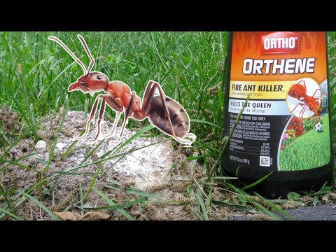 🔥 Ultimate Solution for Fire Ants! Ortho Orthene Fire Ant Killer Review