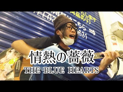 情熱の薔薇 / THE BLUE HEARTS 【cover by 和泉隆宏】