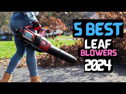 Best Leaf Blower of 2024 | The 5 Best Handheld Blower Review