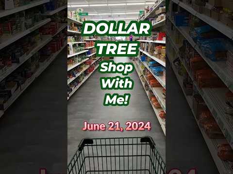 (Voiceover) DOLLAR TREE Shop With Me!  York and New Oxford, PA Stores! (Part 2) June 21, 2024