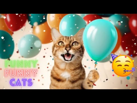 Cat Funny Videos 😹 Funny Cat Videos Try Not To  Laugh 😺 Funny Cat Videos On Youtube 😂 😹 Part 112