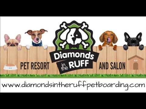 Diamonds in the Ruff Pet Resort and Salon - Dog and Cat Boarding