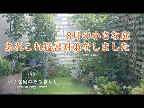 ガーデニング Vlog｜8月の小さな庭、あれこれ猛暑対策をしました｜ 〜小さな庭のある暮らし 167〜Gardening ｜ Life in a tiny garden