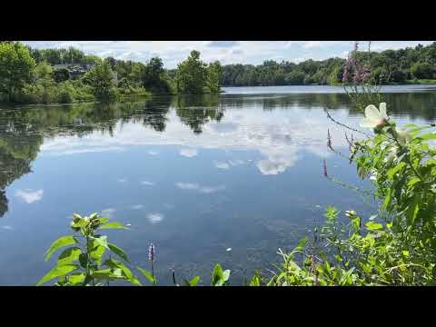 Silent Reflection, Randy "Windtalker" Motz, Native American style flute