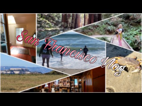 San Francisco Vlog - Vlogs