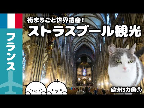 【欧州3ヵ国旅】世界遺産ストラスブール王道観光！コルマール猫宿♪/欧州3ヵ国節約旅③｜旅Vlog