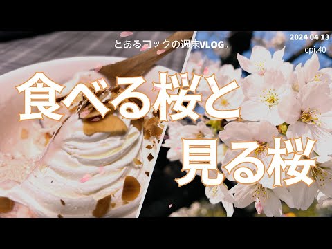 ４０代おひとりさま　食べる桜と見る桜　epi.40  桜｜花見｜立川｜桜アイス｜無印良品｜