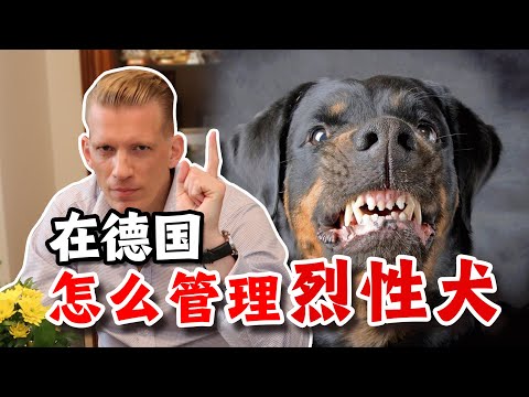 在德国怎么管理烈性犬，哪种狗都可以养吗？