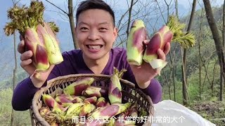 浑身长满刺的野菜栽的时候小心翼翼，吃了回味无穷#野菜 ##三农