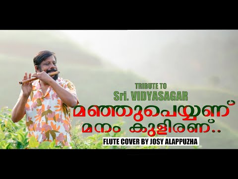 Manju Peyyanu Flute Cover | A Tribute to Vidyasagar | Josy Alappuzha