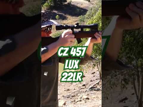 CZ 457 Lux 22lr #ozziereviews #cz #cz457 #shooting #rifle #gun #firearms #22lr #22wmr #17hmr #viral