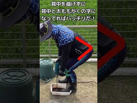 芝生の手入れの腰痛予防！