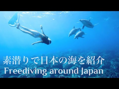 Freediving in Japan - Be free, with one breath! 素潜り/シュノーケリング/スキンダイビング/フリーダイビング