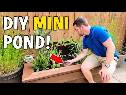 Making A Fancy DIY Patio Fish Pond w/ Aquaponics Filter!