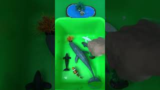 Mini Diorama Sea Animal Deadly White vs Black Whale Toys DIY in tray #asmr #ktoysworld