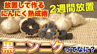 【野菜も熟成??】14日放置して作る「黒にんにく」がすごかった