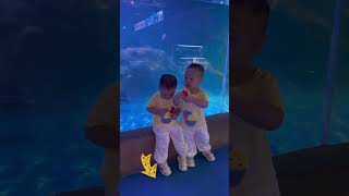 A day at the aquarium! How will human pups react when they see so many sea creatures for the first