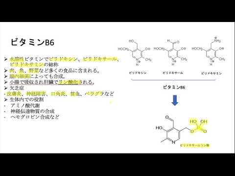 ビタミンB6