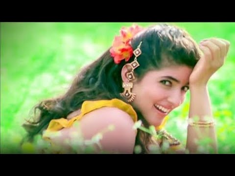 Kuwara Nahi Marna.... (Jhankar) hindi songs #alka_yagnik #uditnarayan #ajaydevgan