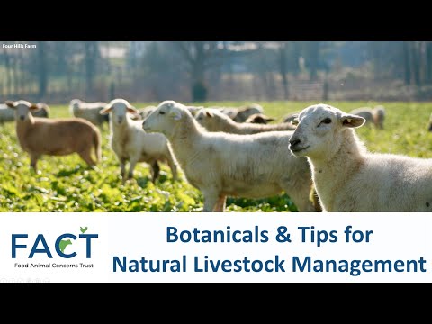 Botanicals and Tips for Natural Livestock Management