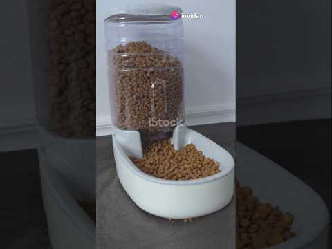 "Revolutionize Pet Feeding with Qpets Wi-Fi Automatic Feeder! 🐾 | Smart Feeding Made Easy"