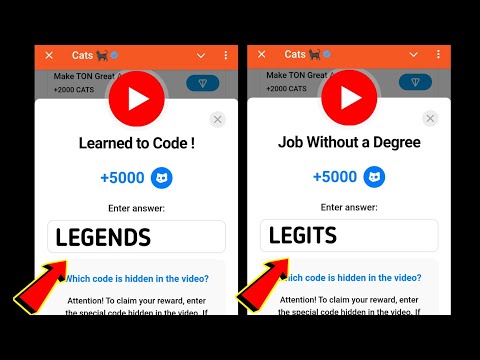 Learned to Code ! Cats Code | Job Without a Degree cats video code today