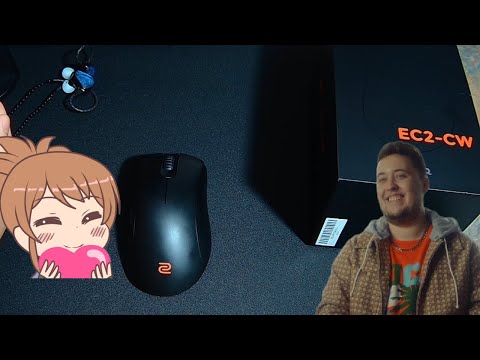 Zywoo mouse Zowie EC2-CW review (Waifu Tier)