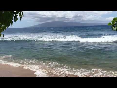 Hawaii Waves