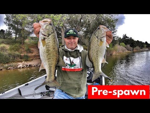 Fishing Between Storms/Pre Spawn Bass/Chatterbait-Castaic Lake