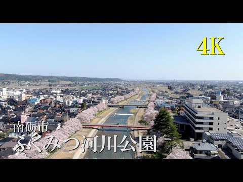 【4K】ふくみつ河川公園の桜　4Kで魅せる富山の桜2022