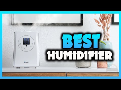 ✅ Best Humidifier 2022 [Buying Guide]