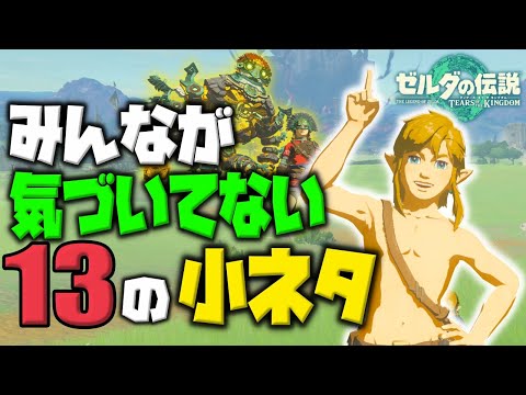 これは気づかない！地味な小ネタ・小技13選【ティアキン】【ティアーズオブザキングダム】ﾊﾞｰｼﾞｮﾝ違い有