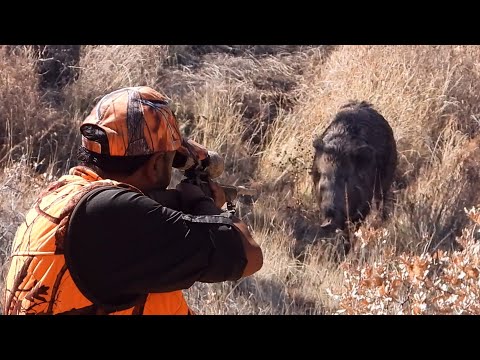 BEST WILD BOAR HUNTING ADVENTURE - EFSANE DOMUZ AVI MACERASI