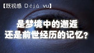 【既视感 Déjà vu】：似曾相识的感觉？是梦境中的邂逅？是前世经历的记忆？还是平行宇宙另一个你的记忆？