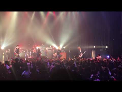 coldrain - The Revelation Ft.Kaito Of Paledusk【Live at True North Festival】