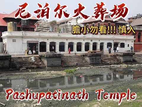 尼泊爾火葬場  Pashupatinath 實地拍攝