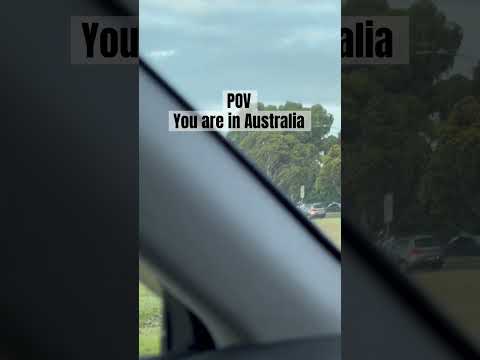 You are in Australia #australia #kangaroos