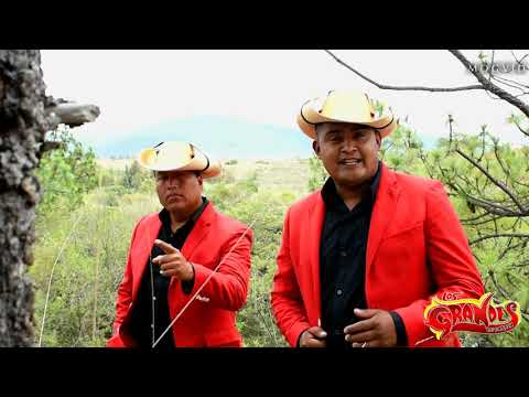 Corrido: Platicando con mi cuerno - LOS GRANDES DE OAXACA