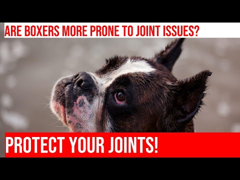 Protecting Your Joints in Boxing: What You Need to Know