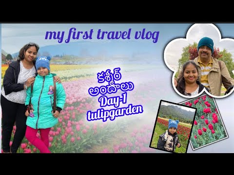 కాశ్మీర్ అందాలు | Day 1 in kashmir | మేము ఏమి చూసాము అక్కడ?