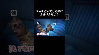 ゲイ活動はじめたての人が陥りがちなやつ #猫ミーム #猫マニ