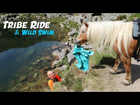 Tribe Moorland Ride & Wild Swim | CAT | DOG | PONIES x2)