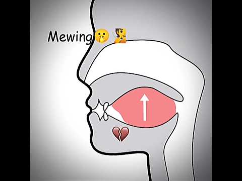 Mewing or Khecarī mudrā #stickman44 #meme #mrbombastic #mewing