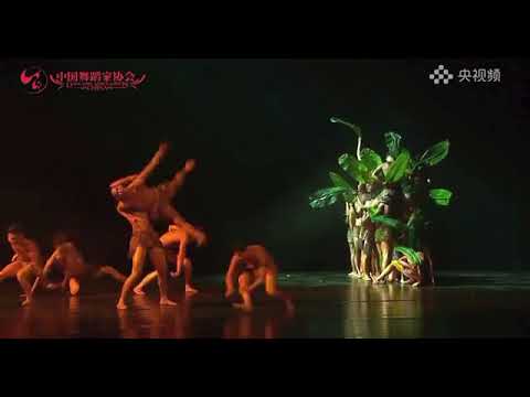 Chinese  dance tutorial 《太平有象》第十四届荷花奖民族民间舞终评 云南演艺股份有限公司 云南省歌舞剧院