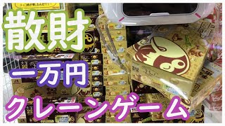 悲報！クレーンゲームで散財してきた！一万円でいくつとれる？技術で乱獲したい！お菓子やぬいぐるみを大量ゲットしたい！激辛台をぶっ倒したい！Dリングを3Dプリンターで制作して検証！