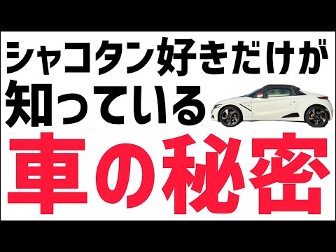 シャコタン好きだけが知っている車の秘密