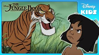 🐯 Mowgli Faces Shere Khan! | Jungle Book | Disney Kids