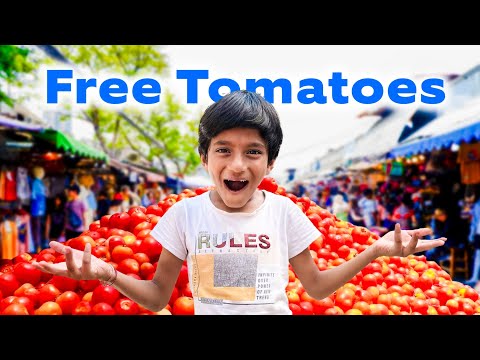 Free Tomatoes in Public | PR PRESENTS